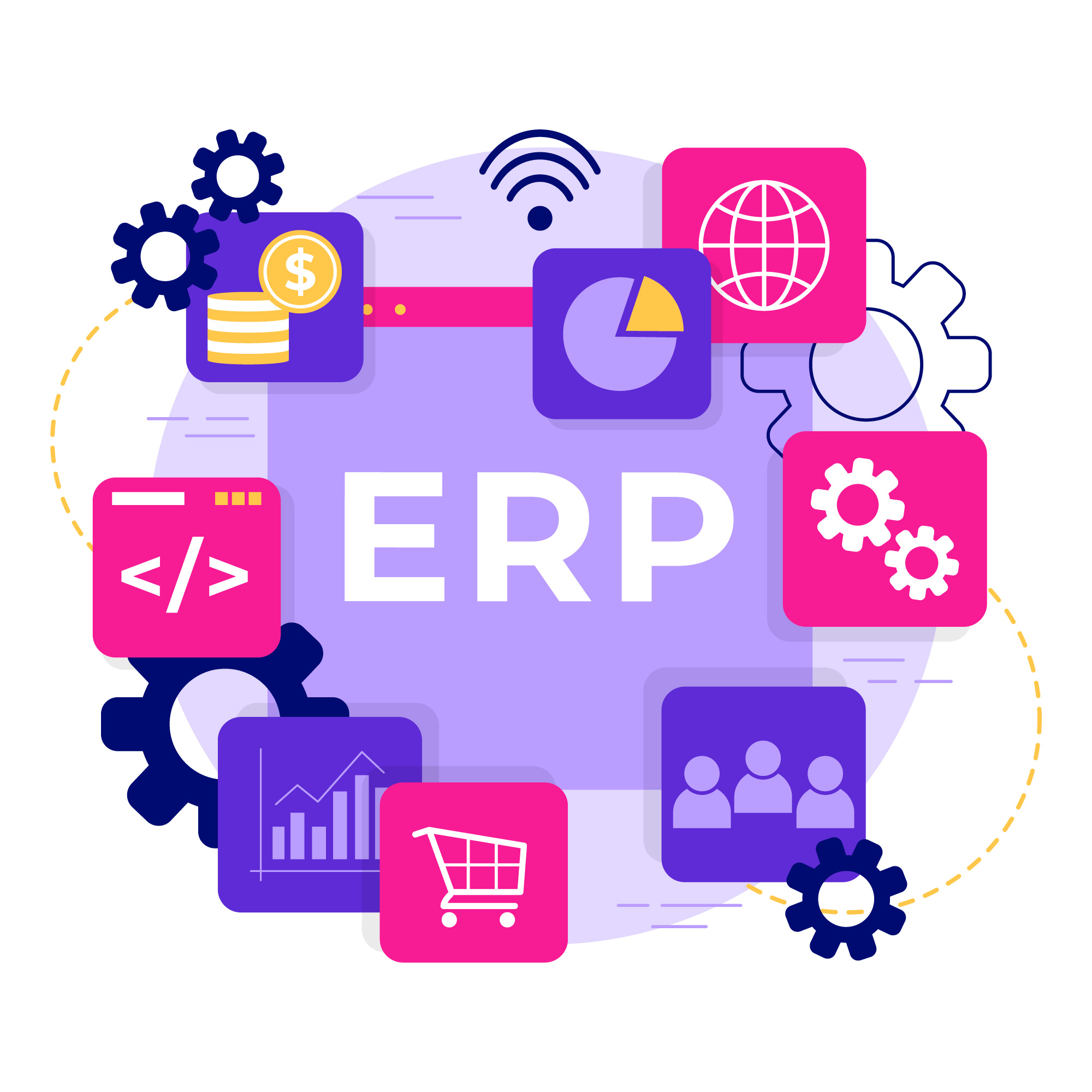 Custom ERP Software